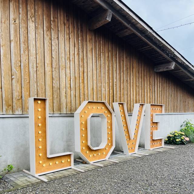 Love Leuchtbuchstaben